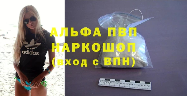 шишки Бикин