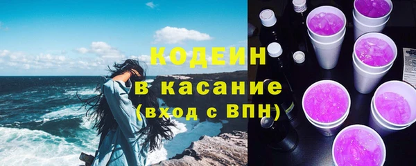 шишки Бикин