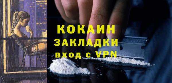 шишки Бикин